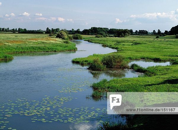 Der Durch Grasbewachsenen Landschaft, Deutschland, Fluss Aller 