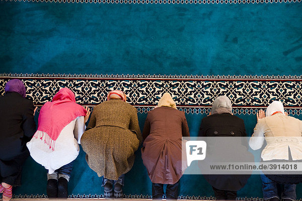 muslimische frauen kennenlernen Muslimische frauen in deutschland akf-zentrum findet montags bis freitags am festgelegten tag von uhr bis frauen kennenlernen in deutschland zum späten abend. muslimische frauen kennenlernen Muslimische frauen in deutschland akf-zentrum findet montags bis freitags am festgelegten tag von uhr bis frauen kennenlernen in deutschland zum späten abend.