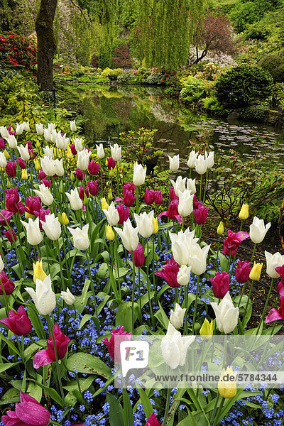 Butchart Gardens Floral Zeigt Steinbruch See In Der Versunkene Garten