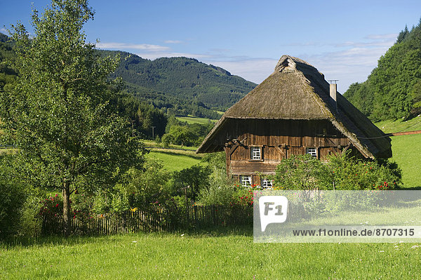 BadenWürttemberg,Bauernhaus,Deutschland,Garten,Reetdach,Schwarzwald