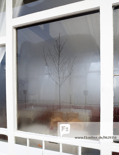 Durchs Fenster Beim Ficken Zusehen Durchs Fenster Beim Ficken Zusehen
