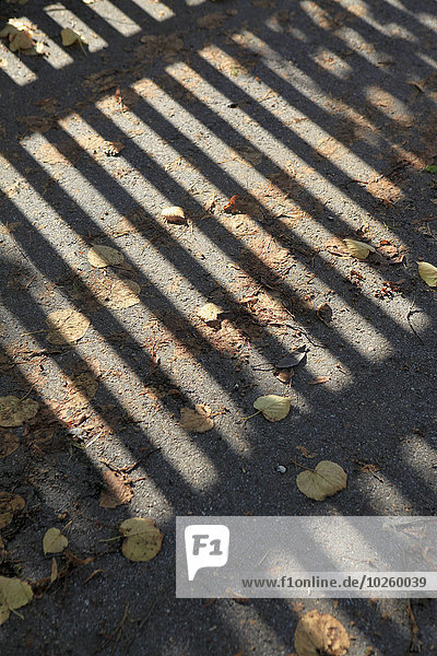 Straße,unordentlich,Schatten,Geländer