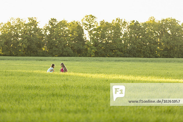 entfernt,sitzend,Fotografie,Feld,Mädchen,Wiese,Distanz