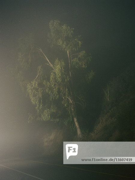 Außenaufnahme,beleuchtet,Das Unbekannte,Dunst,Farbe,Fernverkehrsstraße
