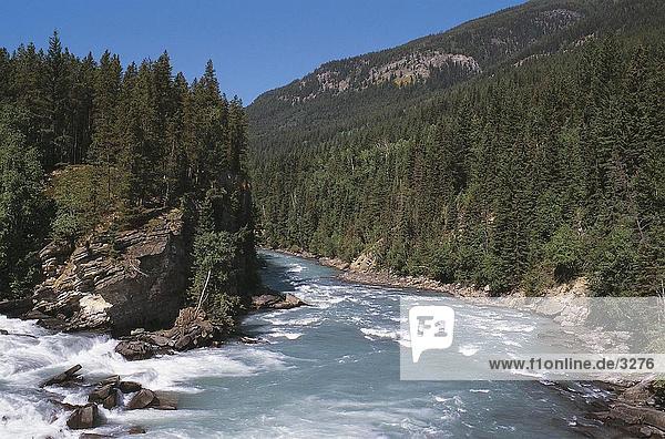 Fluss  der durch Wald  Alberta  Kanada