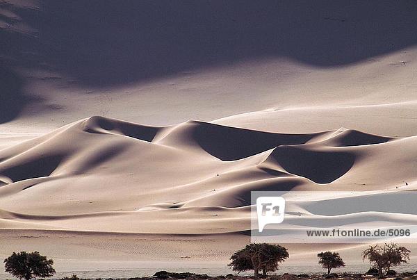Sanddünen bei Sonnenuntergang  Sossusvlei  Namib-Wüste  Namibia
