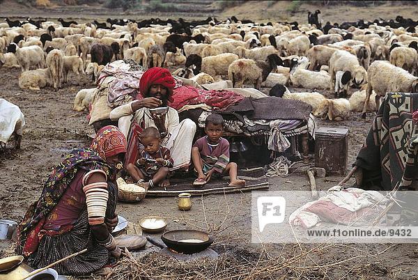 Familienmitglieder mit Essen in der Nähe von Herde von Ziegen  Rajasthan  Indien
