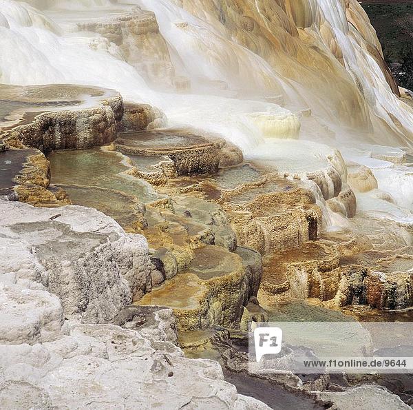 Nahaufnahme der Kreide Reihenhäuser heißen Quellen  Mammoth Hot Springs  Yellowstone National Park  Wyoming  USA