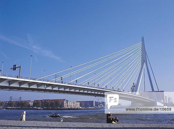 Suspension bridge across river  Erasmus Bridge  Nieuwe Maas River  Rotterdam  Netherlands