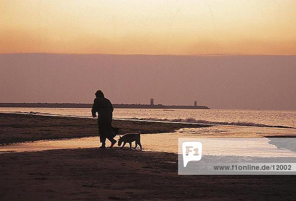Silhouette der Person zu Fuß mit Hund am Strand  Nordsee  Niederlande
