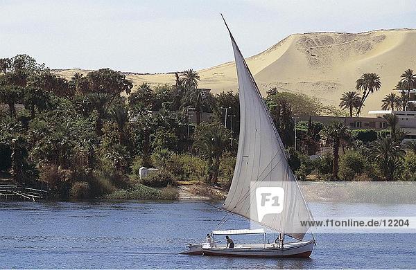Segelboot in Flusswasser  Nil  Ägypten