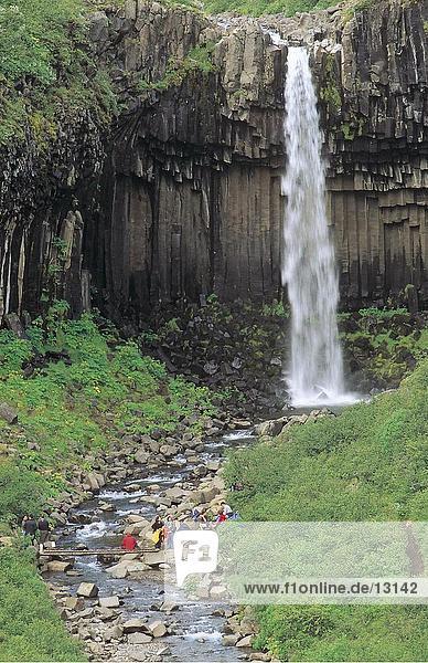 Wasserfall im Wald,  Svartifoss,  Skaftafell-Nationalpark,  Island
