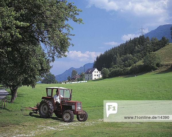 Landwirt in einem Traktor auf Wiese  Steiermark  Österreich