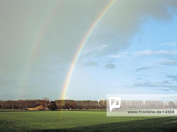 Rainbow over agricultural field  Netherlands