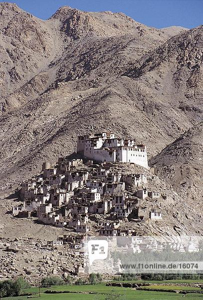 Buddhistische tibetische Kloster auf dem Hügel  Chemrey Kloster  Ladakh  Indien