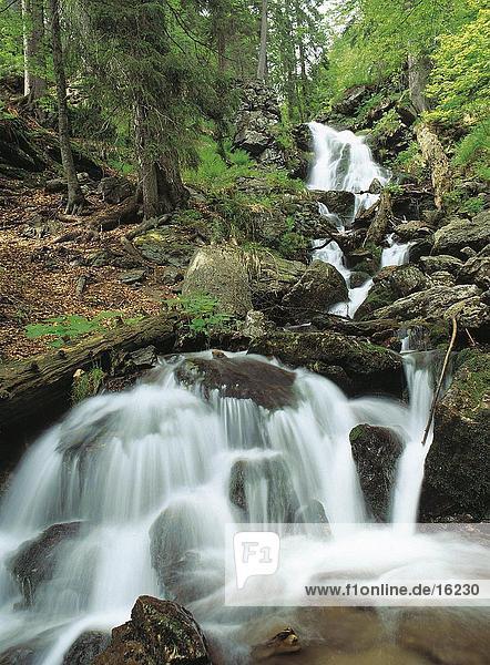 Wasserfall am Fluss im Wald,  Hoellbach,  Bayerischer Wald,  Bayern,  Deutschland