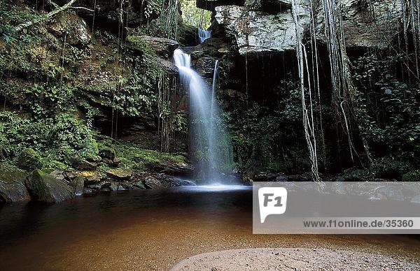 Waterfall in forest  La Gran Sabana  Venezuela