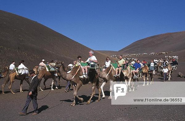 Tourists riding camels  Timanfaya National Park  Lanzarote  Canary Islands  Spain
