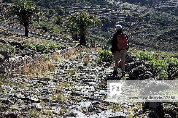 Hiker with dragon trees on hiking trail  Alajero  La Gomera  Canary Islands  Spain