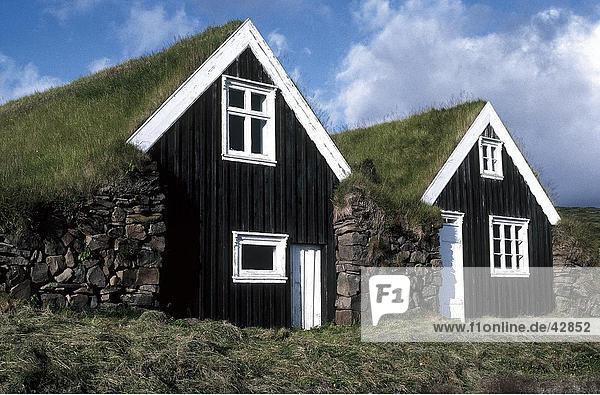 Bauernhäuser im Feld  Skaftafell-Nationalpark  Island