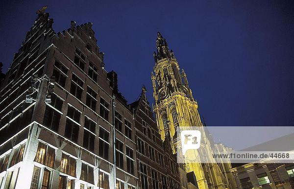 Untersicht der Kathedrale beleuchtet nachts  Antwerpen  Belgien
