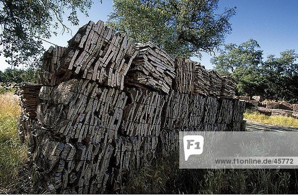 Bark of cork oaks bundled on landscape  Sierra de Aracena  Andalusia  Spain