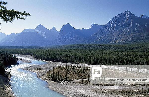 River flowing through landscape Icefields Parkway Alberta Canada
