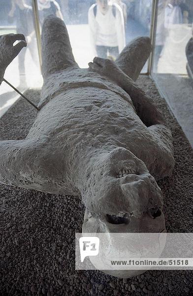 Mummy of volcanic eruption victim  Pompeii  Naples  Italy