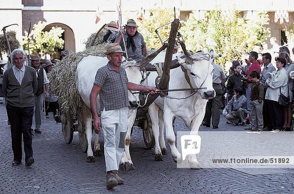 Menschen in Kostümen mit Ox Warenkorb während Festival  Festival Delle Sagre  Asti  Piemont  Italien