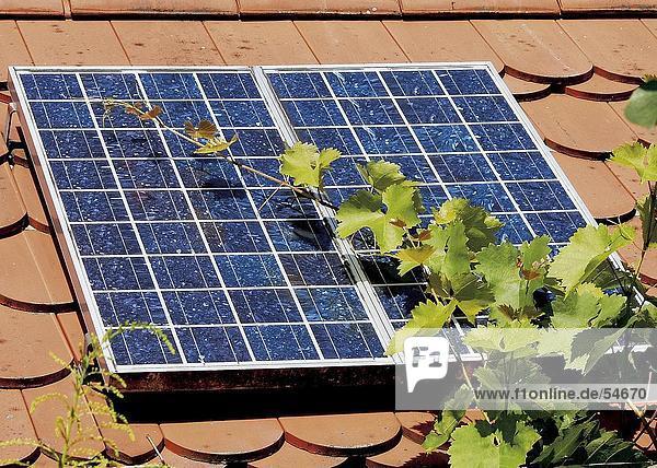 Solar-Panel auf Dach