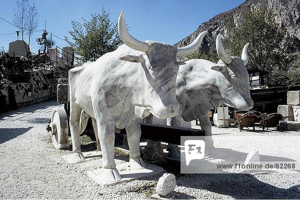 Skulptur von Ochsenkarren in der Stadt  Carrara  Toskana  Italien