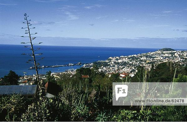 Erhöhte Ansicht einer Stadt an einer Küste  Madeira  Portugal