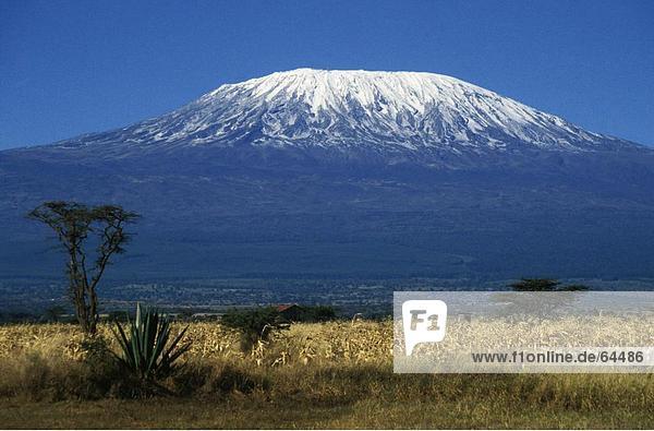 Schneebedeckte vulkanische Berg  Kilimanjaro  Kenia