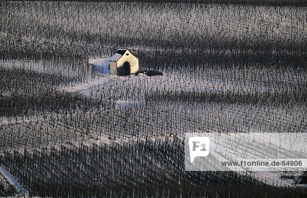 hoch oben Wohnhaus Ansicht Flachwinkelansicht Winkel Deutschland Hessen Weinberg