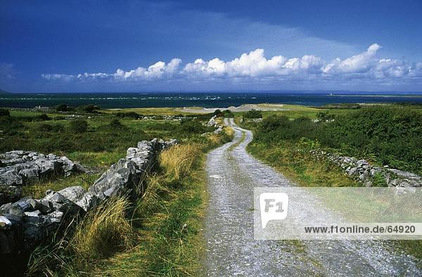 Straße passieren Landschaft  Burren  County Clare  Republik Irland