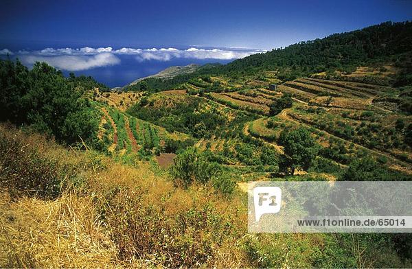 Erhöhte Ansicht der Terrassen am Berg  Kanaren  La Palma  Kanarische Inseln  Spanien