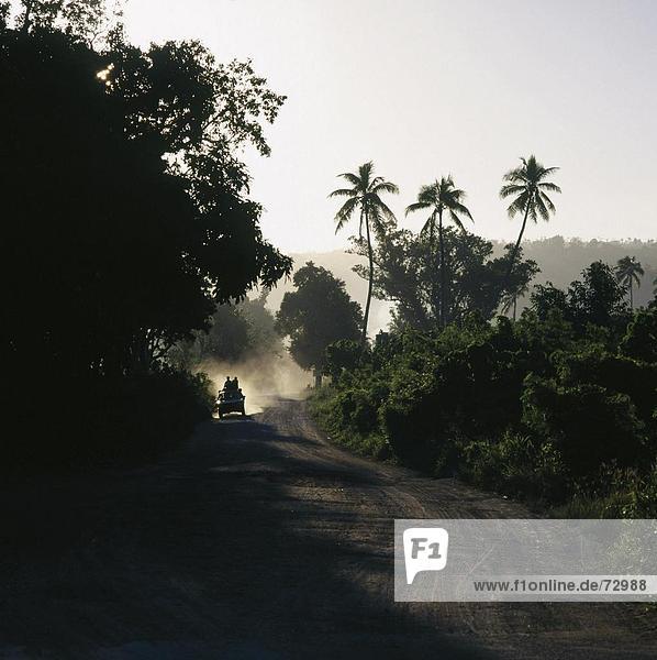 10426788  Dämmerung  Dämmerung  Efate Island  Melanesien  Palms  Steigung  Auto  Auto  Auto  Primitive  Wolke aus Staub  St