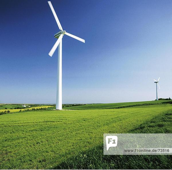 Windturbine Windrad Windräder Europa Energie energiegeladen Wind Küste Dänemark Kraftwerk Wiese Windenergie Strömung Jütland