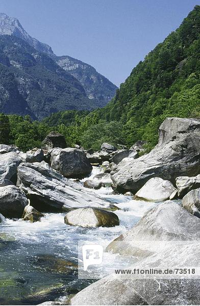Felsbrocken Europa Berg Stein Steilküste Wald fließen Fluss Holz Wildwasser Schweiz