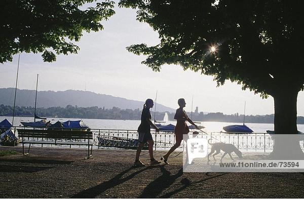 10522038  Hund  Leben  Sonnenuntergang  Spaziergang  Utoquai  Stadt  City  Zürich  Schweiz  Europa  zwei  Frauen  Zürich-See  Meer  Promenade