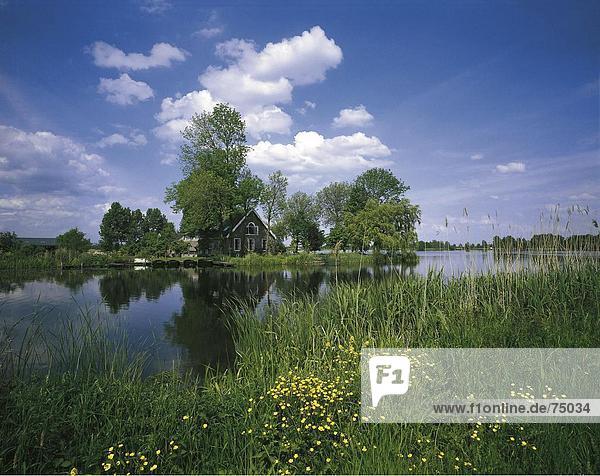 Landschaftlich schön landschaftlich reizvoll Blume Wohnhaus Baum Gebäude Natur Niederlande Schilf