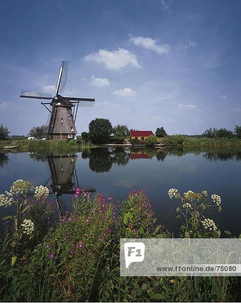 10631907  flowers  river  flow  body of water  Holland  Kinderdijk  scenery  nature  Netherlands  shores  windmill  landmark