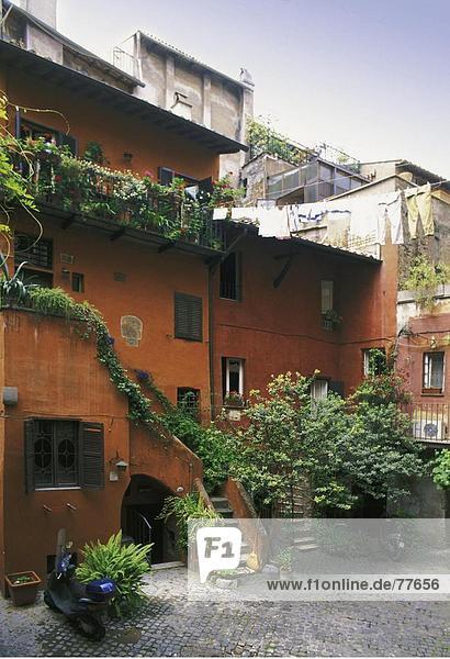 Rom Hauptstadt Europa Blume Wohnhaus Pflanze herrschaftlich Wäsche Idylle Italien