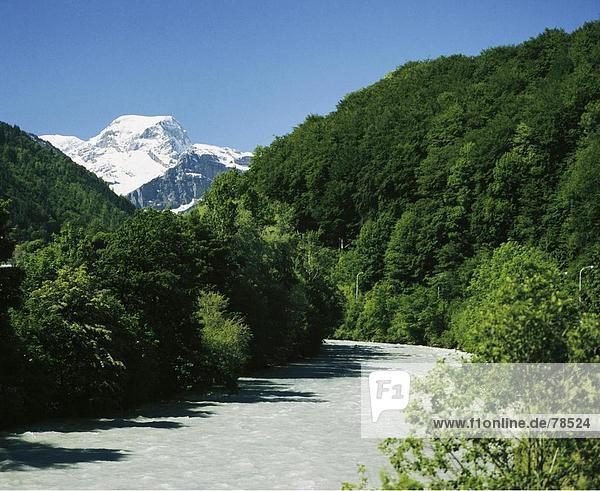 Landschaftlich schön landschaftlich reizvoll Europa Berg Tal Wald fließen Fluss Holz Alpen Kanton Glarus Schweiz