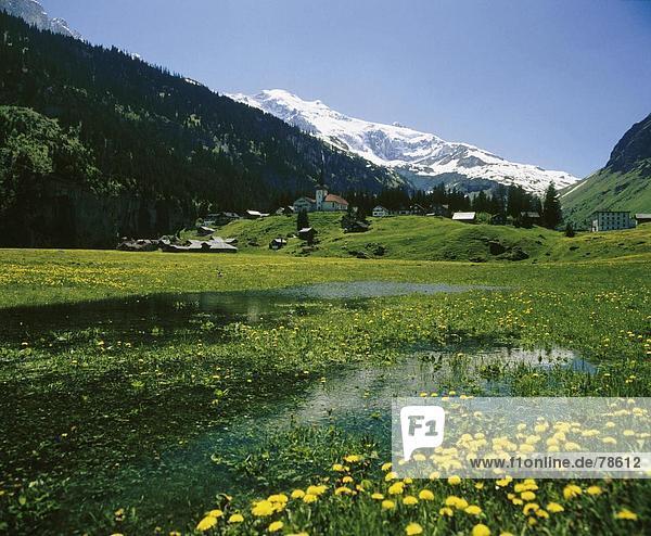 Landschaftlich schön landschaftlich reizvoll Wasser Europa Berg Blume Tal Alpen Kanton Uri Schweiz