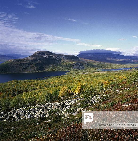 10761138  Fjells  near Kilpisjarvi  mountain  birch  blue  sky  bright  colours  rock vegetation  Finland  mountains  rock  gr