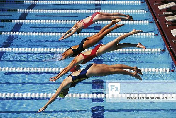 Sport Schwimmen Online Spielen Sport Schwimmen Online Spielen