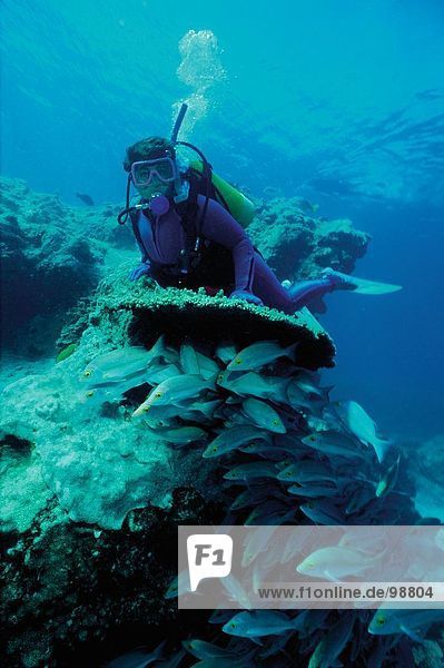 Sport & Recreation. Scuba diving. Woman. Coral reef