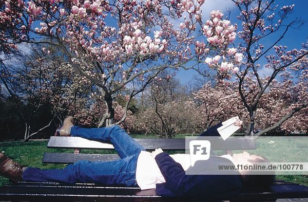 Young man reading book on bench in park