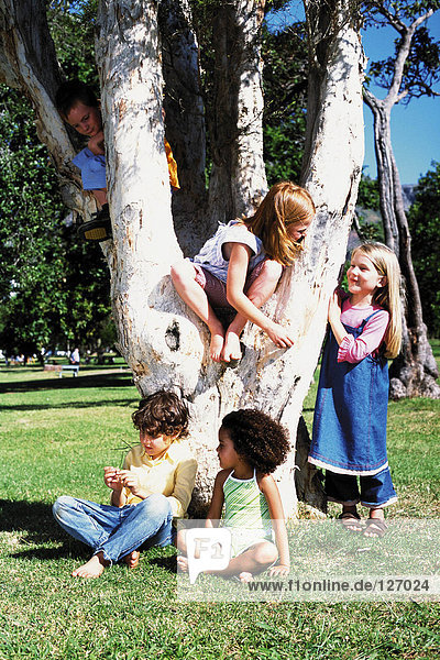 Kinder spielen auf einem Baum